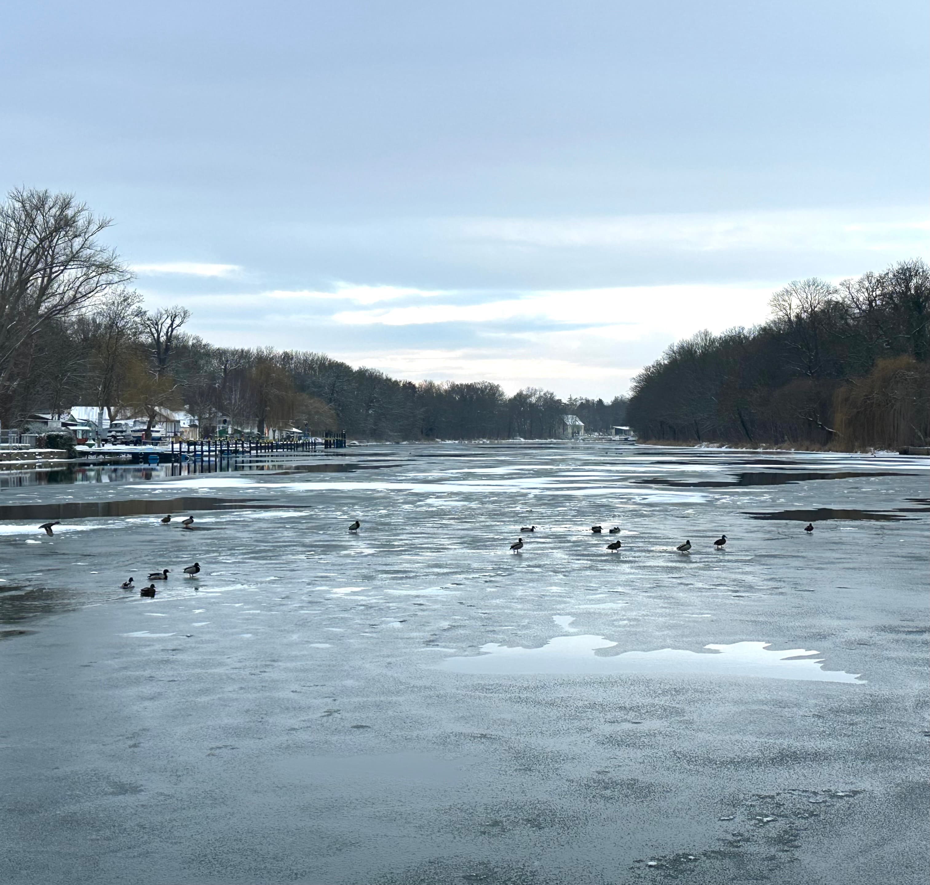 Sophi Sopha Hero Background